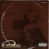 Nothing Else Matters by Dl Incognito