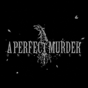 Jaded by A Perfect Murder