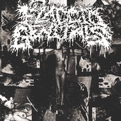 MAGA (Make America Gay Again)