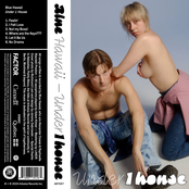 Blue Hawaii: Under 1 House