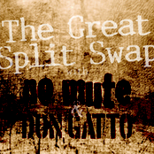 The Great Split Swap