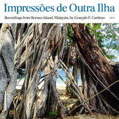 Impressões de Outra Ilha (Borneo)