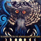 The Ceremony Of The Great Owl (Necrophagicalamar Deathstep Remix)