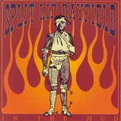 Devil by Split Lip Rayfield