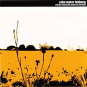 Komischer Komet im Kornfeld