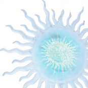 Chaos on the Rise EP