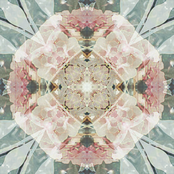 Is Life Truly Beautiful?