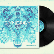 The Electric VS EtRecs - Synergy