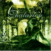 Tunes Of Despondency by Thalarion