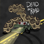 Dead on Road