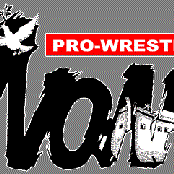 pro wrestling noah