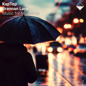 Music for Migraines, Vol. 2