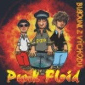 A Pak Se Z Toho Neposer by Punk Floid