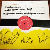 Thurston Moore / Golden Calves Century Band / Dr. Gretchen's Musical Weightlifting Program