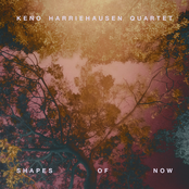 Shapes of Now