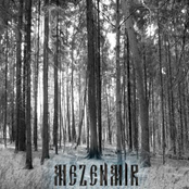 Звоны мечей