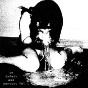 to infect and persist Vol.1