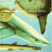 surf, wind & desire