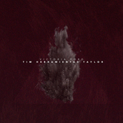 Tim Herramientas Taylor