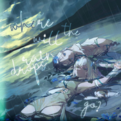 Where Will the Raindrops Go