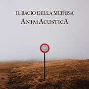 AnimAcusticA (dal vivo)