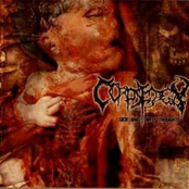 Bloody Ejaculation by Corpsedecay