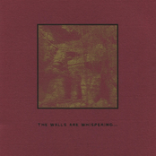 The Walls are Whispering...