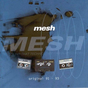 It Was A Great Big Some Kind Of Place by Mesh