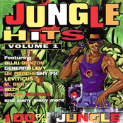 Jungle Hits volume 1