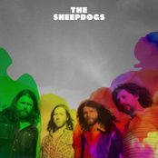 Laid Back by The Sheepdogs