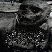 Art Of Gore / Selfaggrandizement Cranioencephalic