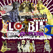 CONTACT GROUP LO-BIT THREAD COMPILATION