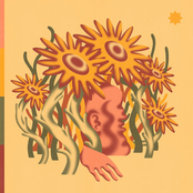 Lost in the Sunflowers (FloFilz Version) - Single