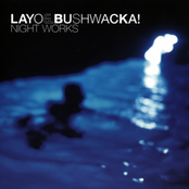 Let The Good Times Roll by Layo & Bushwacka!