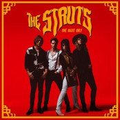 The Struts: One Night Only