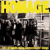 Homage: Lots of Bands Doing Descendents' Songs