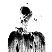 Dissolve Into The Now