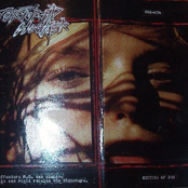 An Offender's M.O. Can Change. Static and Rigid Remains the Signature.