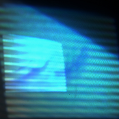 顔