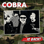 Oi Tonight by Cobra