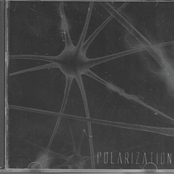 Polarization
