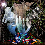 Bones, Hooves & Horns