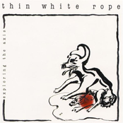 Down In The Desert by Thin White Rope