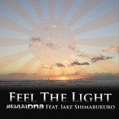 Feel the Light (feat. Jake Shimabukuro)