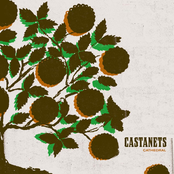 We Are The Wreckage by Castanets