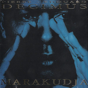 Marakudja