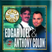Oro Salsero: 20 Exitos, Volume. 2