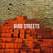 Bird Streets: Bird Streets