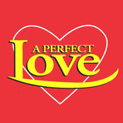 A Perfect Love - Heart Throbbing Tracks