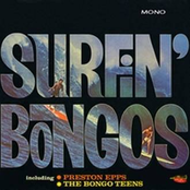 The Bongo Teens